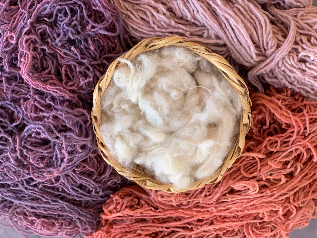 Are Taznakht Rugs Worth It? Complete Buying Guide